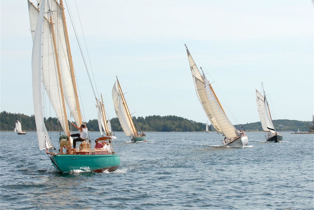 NSSA1  © Marcus Rhindlander